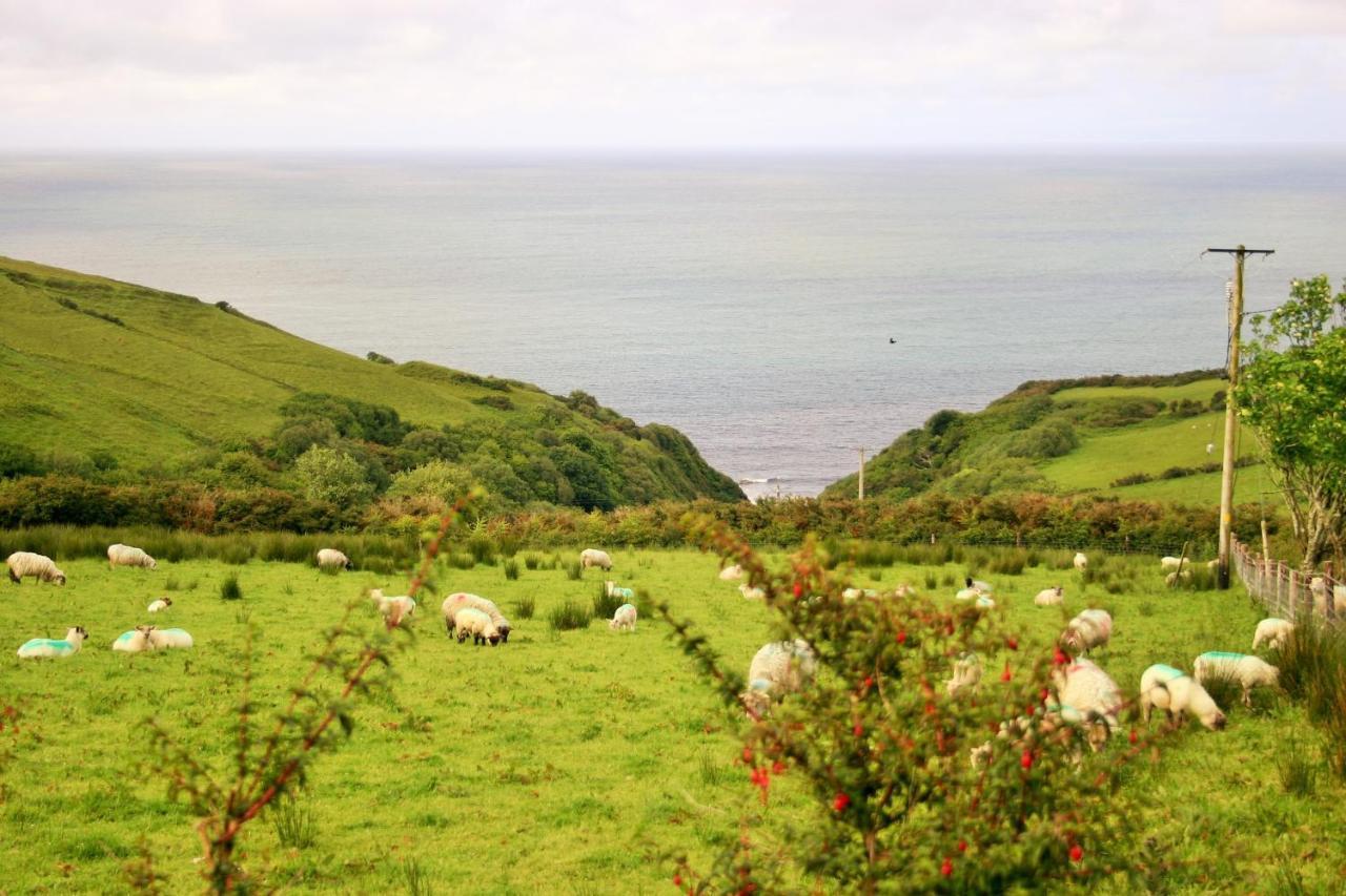 Wild Atlantic View Inishowen Greencastle  Exterior foto